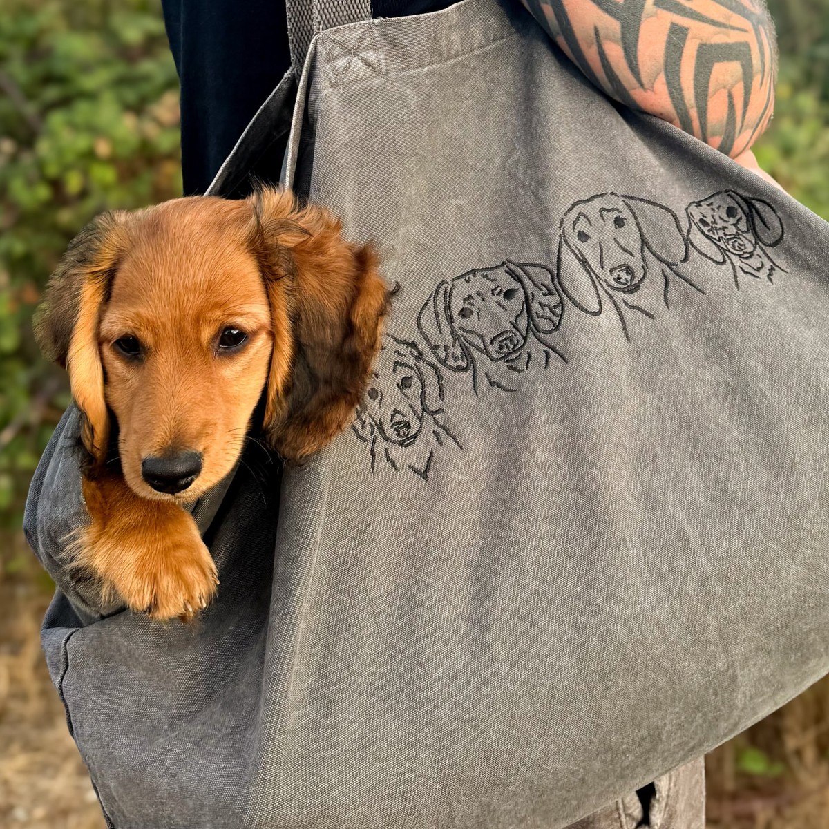 Dachshund puppy peeking out of a canvas tote bag printed with matching hand-drawn dog portraits